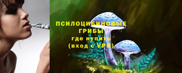 прущая мука Ивангород