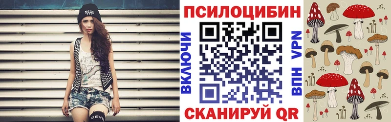 это телеграм  Себеж  Псилоцибиновые грибы Psilocybine cubensis  блэк спрут ONION 